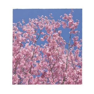 Bloc De Notas El cerezo Sakura florece en el azul