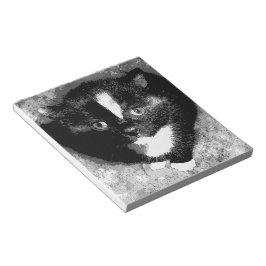 Bloc De Notas El observador silencioso