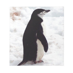 Bloc De Notas El pingüino más lindo, jamás