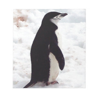 Bloc De Notas El pingüino más lindo, jamás