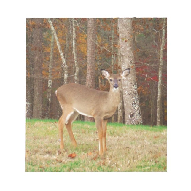 Bloc De Notas El reno soñador de un cazador (Frente)
