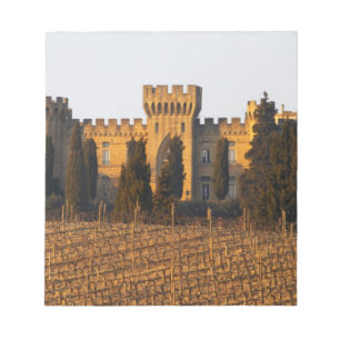 Bloc De Notas El viñedo con vides syrah y el castillo