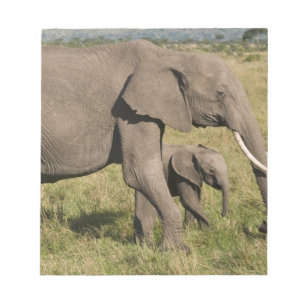 Bloc De Notas Elefante africano y cría (Loxodonta africana),