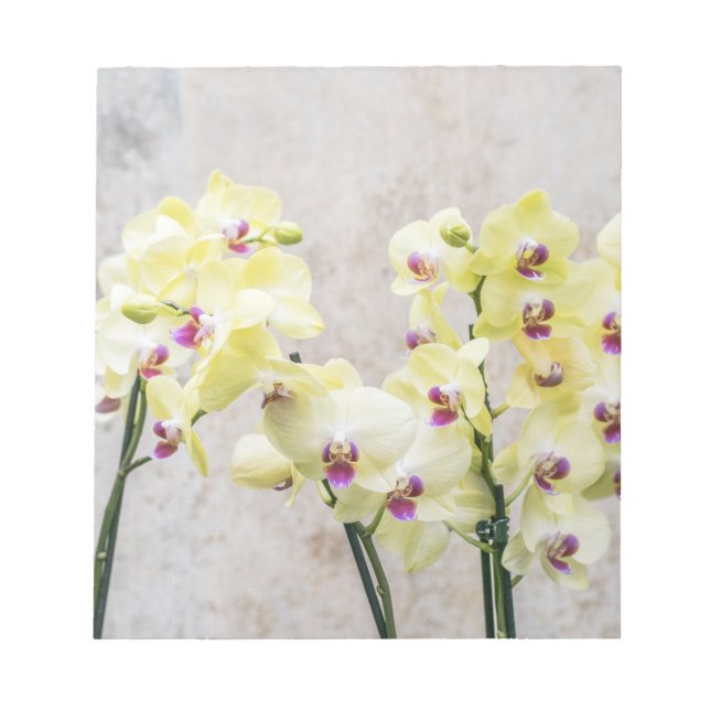 Bloc De Notas Elegante Crema Romántica y Orquídeas Lilac (Frente)