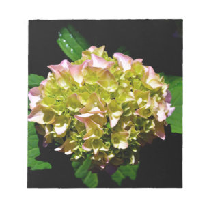 Bloc De Notas Elegante hidrangea floral verde rosa verde suave