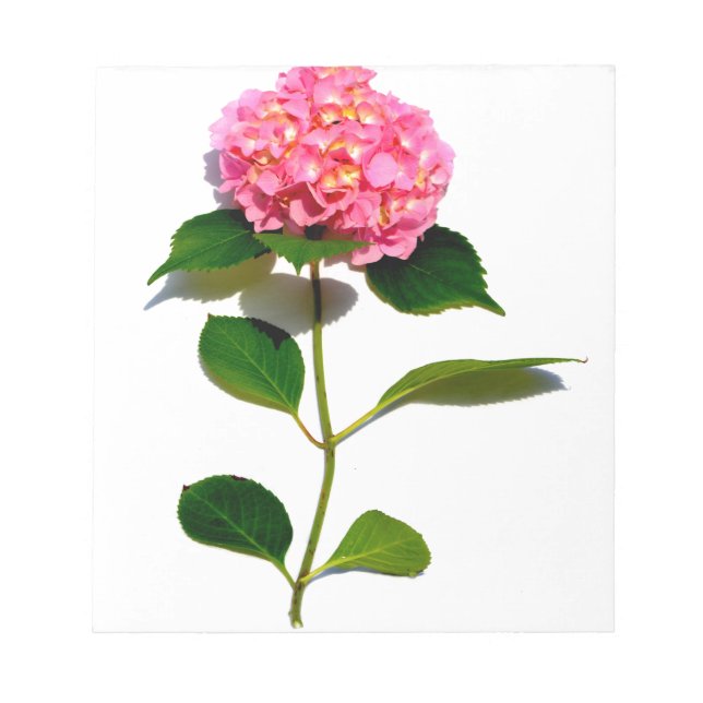 Bloc De Notas Elegante hormigón rosa rosa floral rosa (Frente)