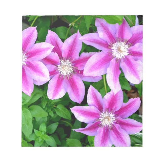 Bloc De Notas Elegante rosa floral verde botánico (Frente)