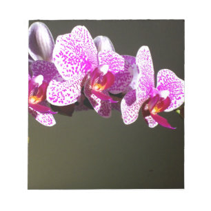 Bloc De Notas Elegantes orquídeas rosa floral tropical rosa