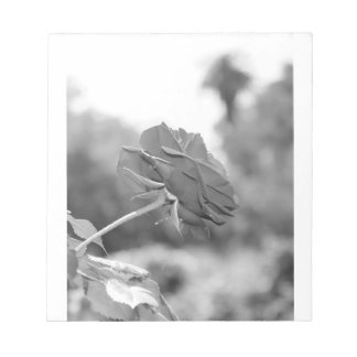 Bloc De Notas Elegí a Me Rosa