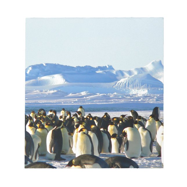 Bloc De Notas Emperor penguins (Frente)