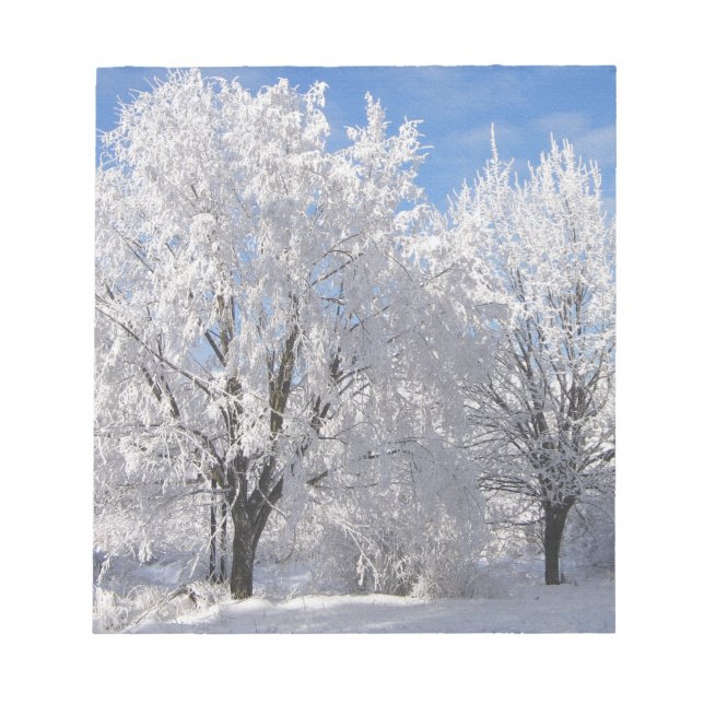 Bloc De Notas en la nieve, árboles blancos en invierno (Frente)