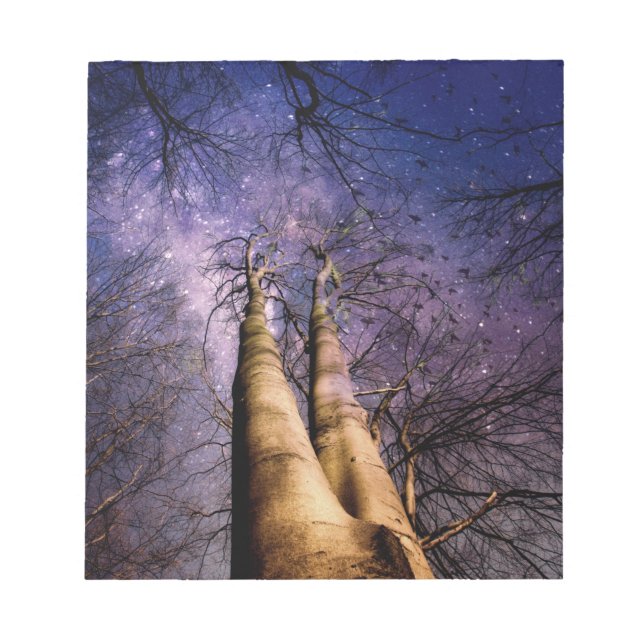 Bloc De Notas Enchanted Forest (Frente)