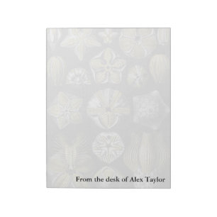 Bloc De Notas Ernst Haeckel Blastoidea
