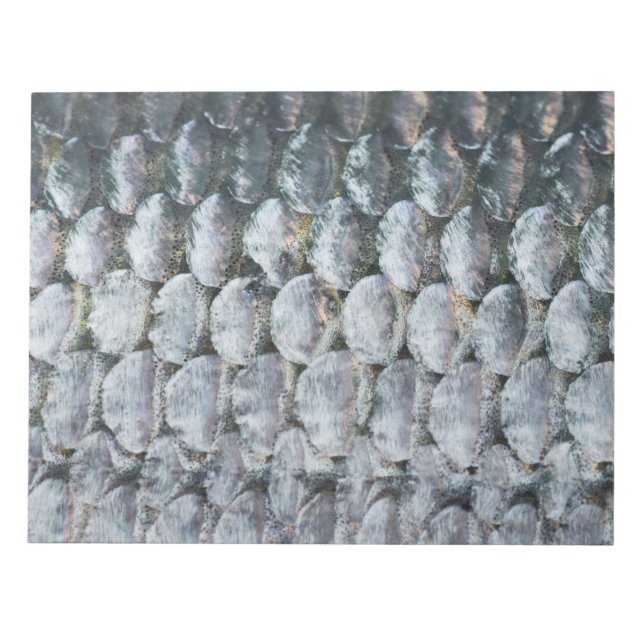 Bloc De Notas Escalas de Salmon brillantes (Frente)