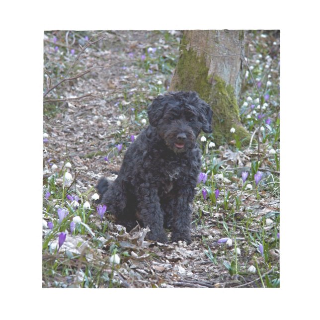 Bloc De Notas Español de Black English Springer (Frente)