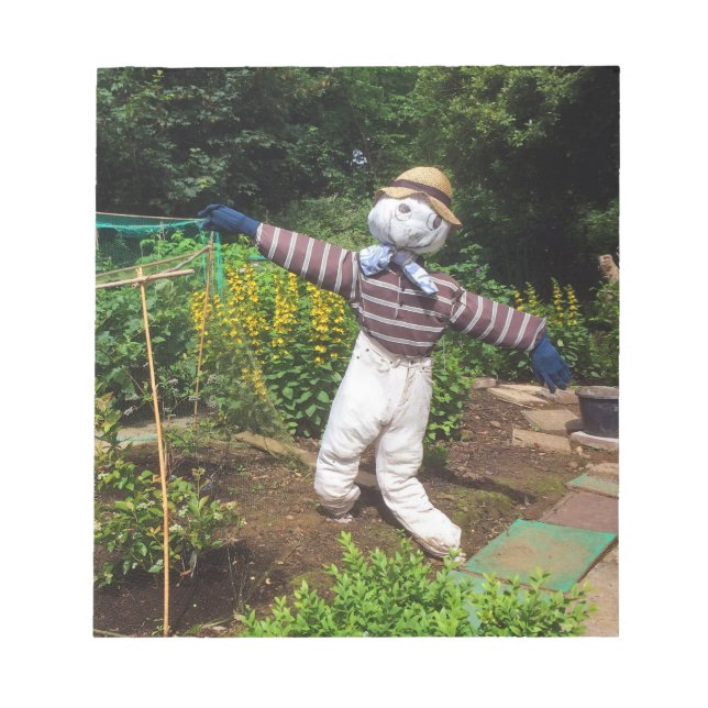 Bloc De Notas Espantapájaros divertidos (Frente)