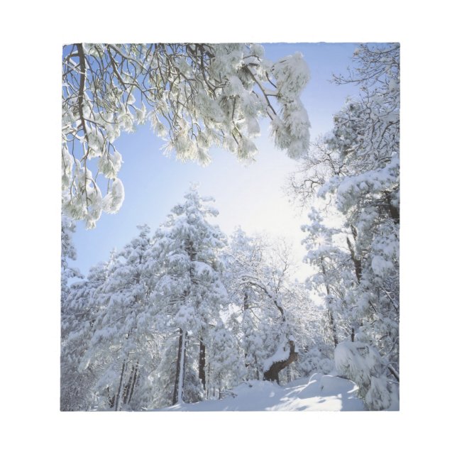 Bloc De Notas Estados Unidos, California, Bosque Nacional Clevel (Frente)