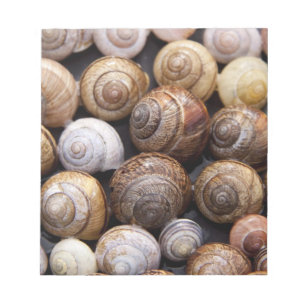 Bloc De Notas Estanques de caracol