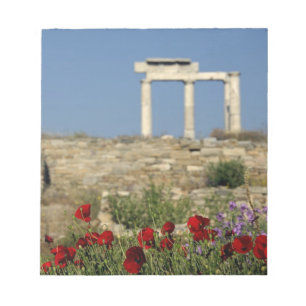 Bloc De Notas Europa, Grecia, Cícladas, Delos. Ruinas de columna