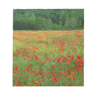 Bloc De Notas Europa, Italia, Toscana, amapolas rojas en campo.