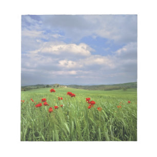 Bloc De Notas Europa, Toscana, Poggiolo. Amapolas rojas se mecen