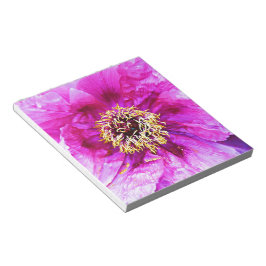 Bloc De Notas Explosión rosa