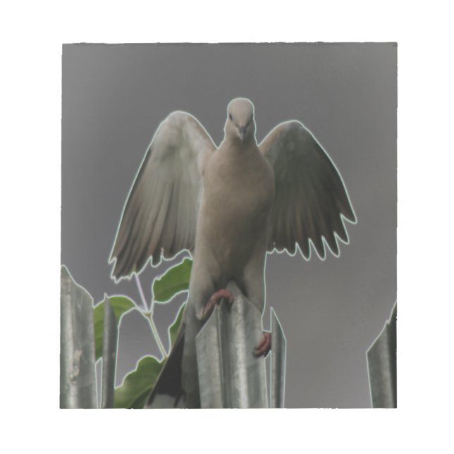 Bloc De Notas Fallen Angel Dove Notepad (Frente)