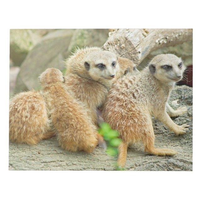 Bloc De Notas Familia de meerkats - Notepad (Frente)