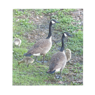 Bloc De Notas Familia Geese de Canadá