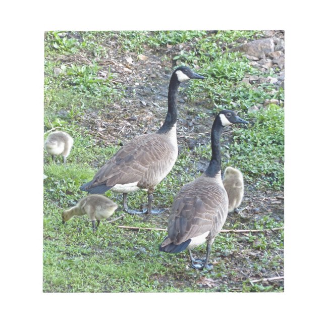Bloc De Notas Familia Geese de Canadá (Frente)