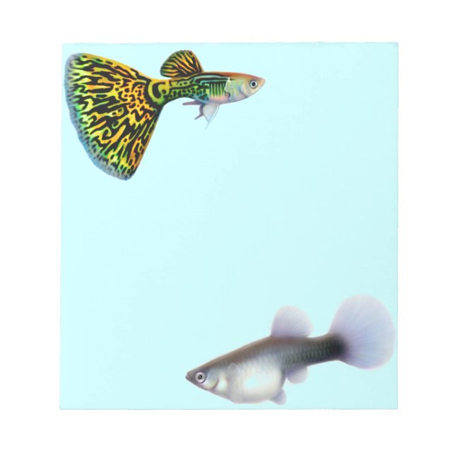 Bloc De Notas Fancy Guppies Livebearer Fish Notepad (Frente)