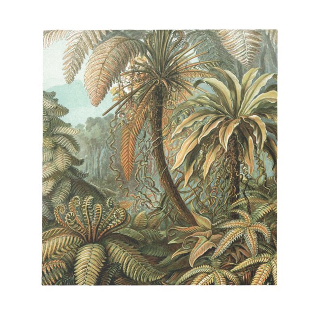 Bloc De Notas Ferns Palm Tree Antique Botanica Ferns Art (Frente)