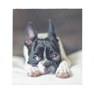 Bloc De Notas Fina el Boston Terrier
