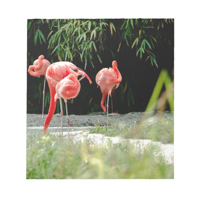 Bloc De Notas flamingo (Frente)