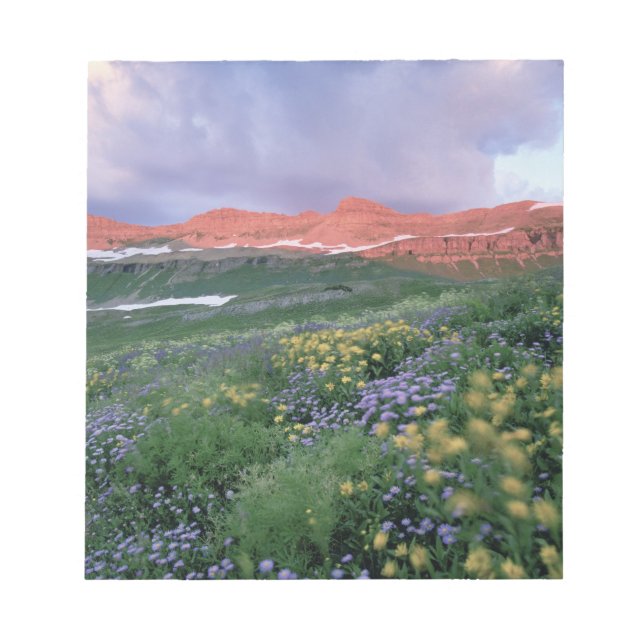 Bloc De Notas Fleabano morado (erigeron peregrinus) y amarillo (Frente)