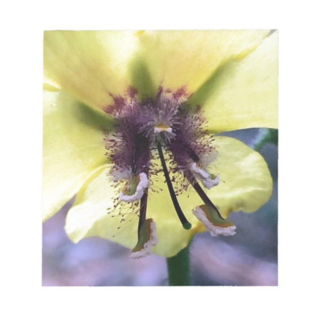 Bloc De Notas Flor Amarilla 3 (Frente)
