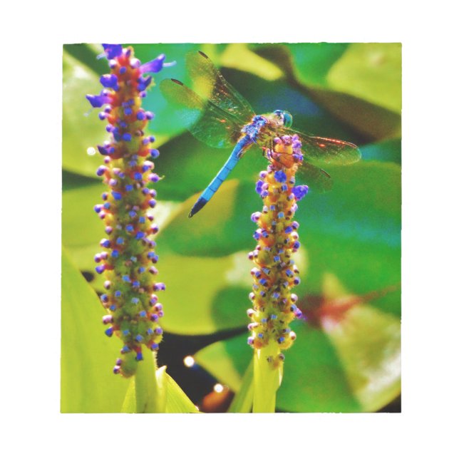 Bloc De Notas Flor azul (Frente)