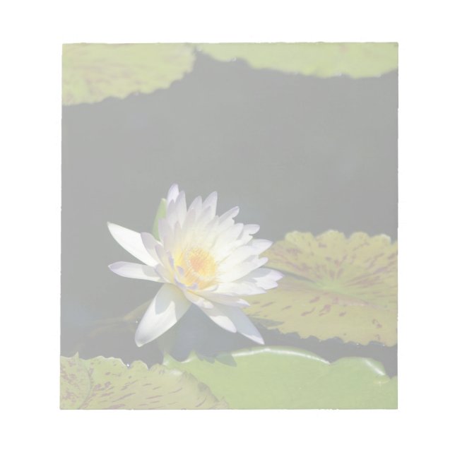Bloc De Notas Flor blanca de agua de Lotus (Frente)