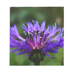 Bloc De Notas Flor de Aciano Azul Flor de la Paz Amor Destino