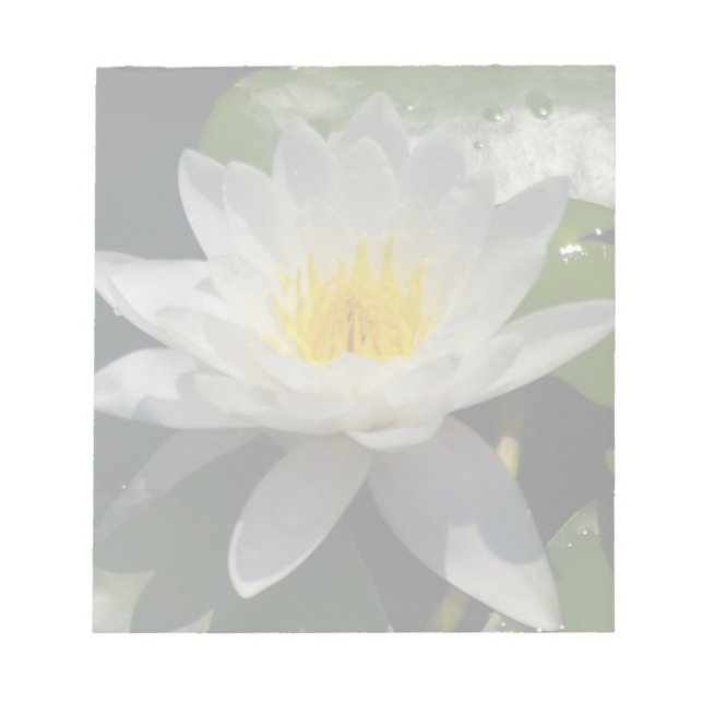 Bloc De Notas Flor de agua blanca de Lotus (Frente)