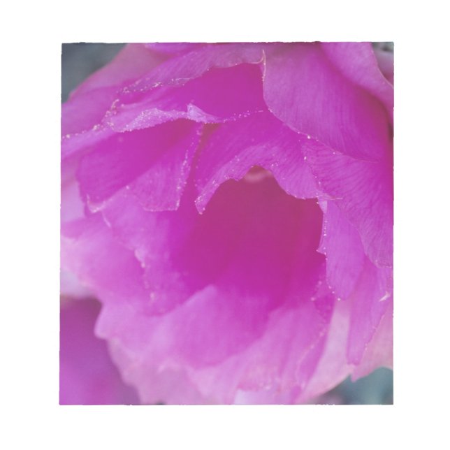 Bloc De Notas Flor de cactus erizo rosa (Echinocereus (Frente)
