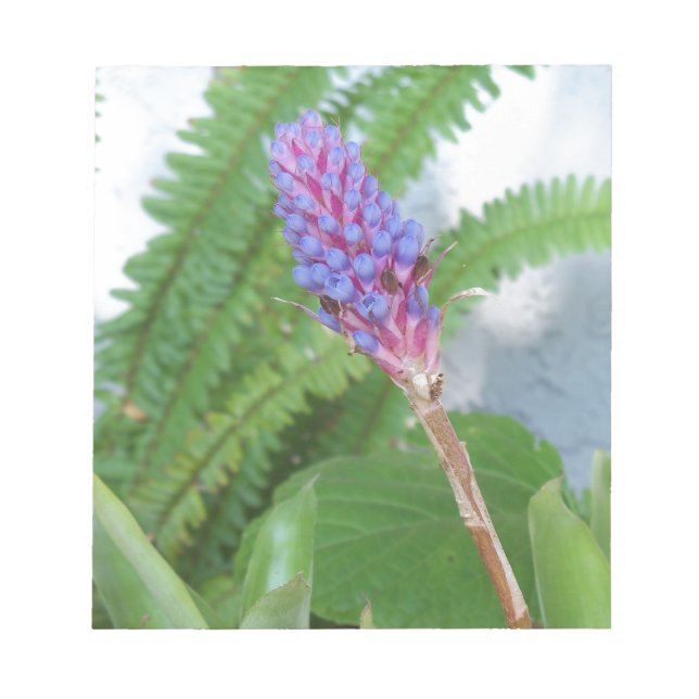 Bloc De Notas Flor de cazo azul Bromeliad (Frente)