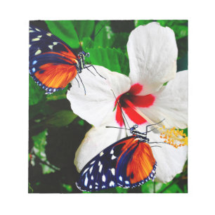 Bloc De Notas Flor de Hibiscus con 2 mariposas tigre de largo