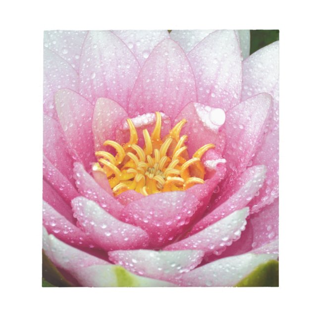 Bloc De Notas Flor de lirio de agua PInk (Frente)