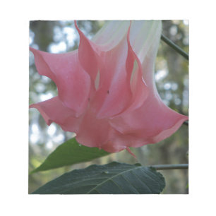 Bloc De Notas Flor de trompeta de los Ángeles rosa
