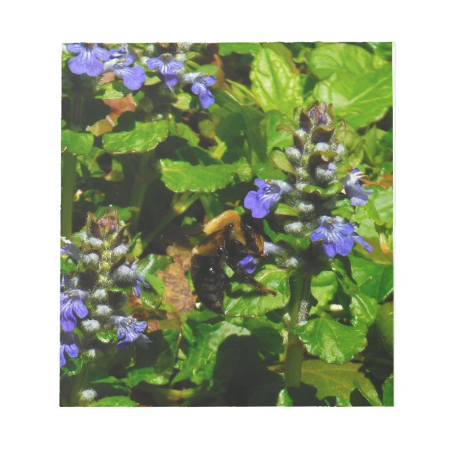 Bloc De Notas Flor morada y abeja burbuja (Frente)