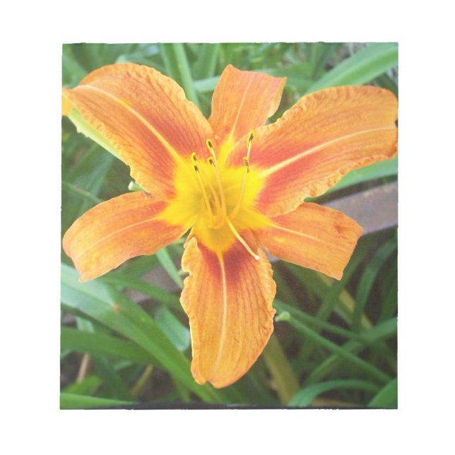 Bloc De Notas Flor naranja (Frente)