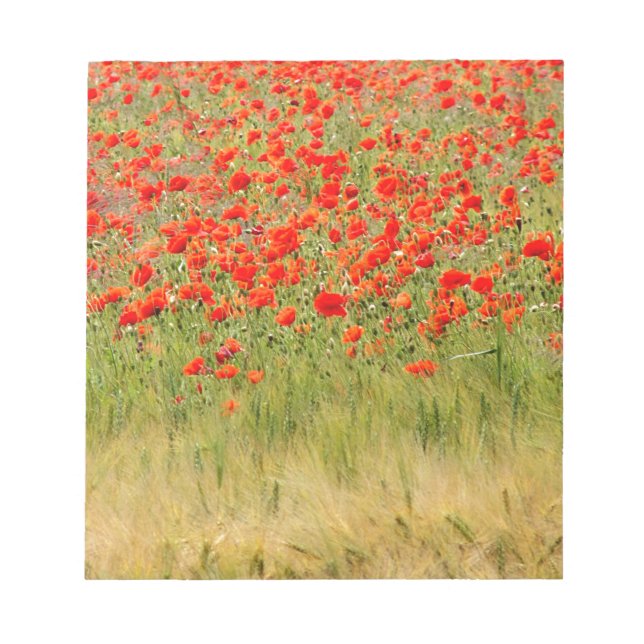 Bloc De Notas flor roja de verano (Frente)