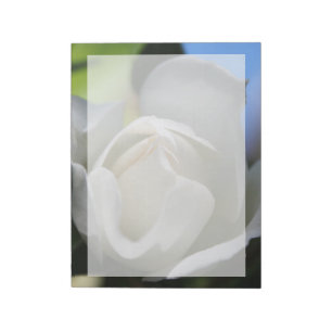 Bloc De Notas Flor rosa blanca. Fotografía floral.