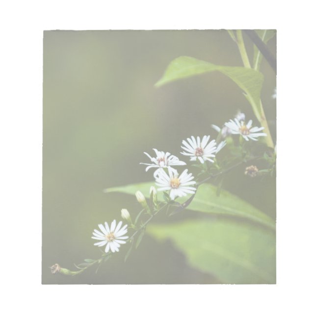 Bloc De Notas Flor silvestre blanca (Frente)